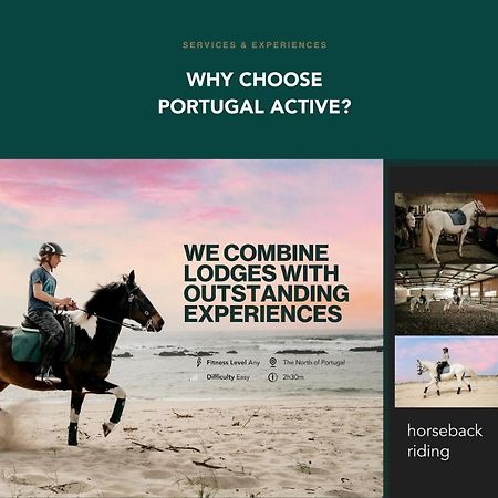 Portugal Active Atlantic Lodge -Sea View -Premium アフィフェ エクステリア 写真